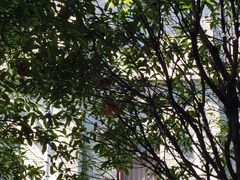 -毛泽东同志旧居