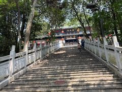 -老君山