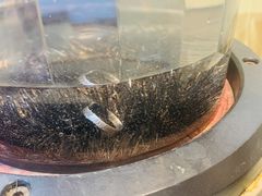 -十八字金·银饰·拼豆·开蚌DIY(魏公芳华里店)