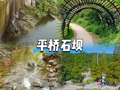 -紫藤园·天目湖大鱼头(南山竹海店)