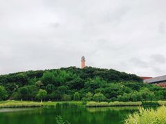 -浙江大学(舟山校区)