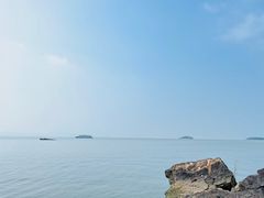 -上海市保健医疗中心