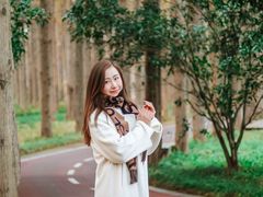 -黄海国家森林公园