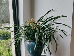 -荷风细雨·中国茶宴(碧云店)