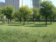 -唐城墙遗址公园