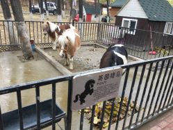 -蓝可可亲子乐园(北苑店)