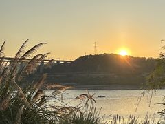 -金海湾滨江公园