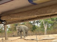 -清迈夜间动物园