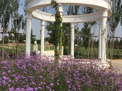 -渔岛海洋度假区