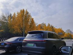 -三里屯东五街银杏大道