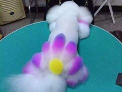 -汪小喵宠物·戴维斯乐芳希施宠馨宝皮毛调理洗护店