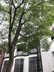 -新蝶变皮肤管理中心