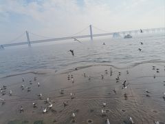 -星海广场