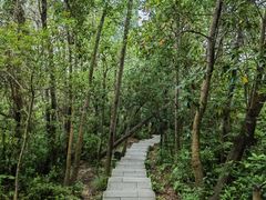 -梧桐山风景名胜区