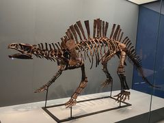 -湖南省地质博物馆