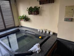 -春晖园度假酒店温泉