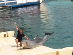 -秦皇岛乐岛海洋王国