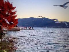 -大理洱海