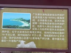 -广东惠东海龟国家级自然保护区