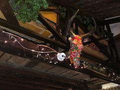 环境-在路上酒吧(大理古城店)