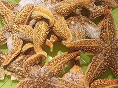 -鼎香缘海鲜自助火锅烤肉(锦辉购物广场店)