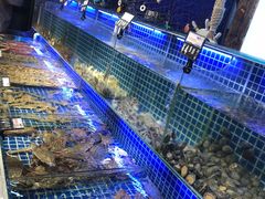 -必点海鲜·鲅鱼水饺(鞍山西道店)