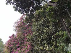 -火炉山森林公园