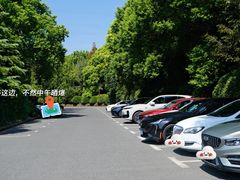 -上海滨江森林公园