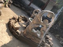 -绳金塔