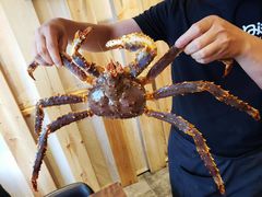 -日进一片海.生腌海鲜火锅.宵夜烧烤(三里屯总店)