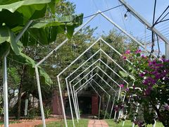 -陶缘一号·四季缘·老字号顺德菜·户外婚礼家宴(西滘店)