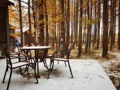 -塞罕坝国家级自然保护区