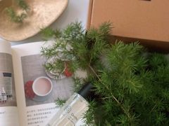 -墨more调香馆DIY自调香水(博雅国际中心B座店)