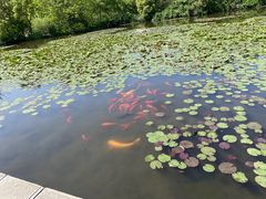 -白马涧龙池景区