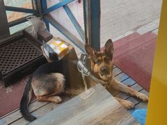 -捷客士炸鸡汉堡•馄饨•披萨(信恒店)