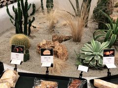 -OUR Bakery(SKP-S店)