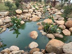 -军山湖云水间水上餐厅(进贤店)