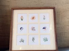 -卿家姆小馆·生腌熟醉·宁波小鲜(旗舰店)