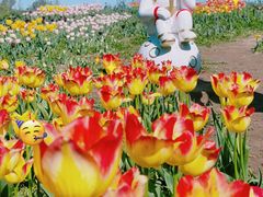 -北京国际鲜花港