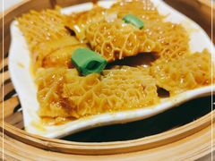 -点都德·毕德寮