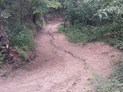 -大岭沟猕猴桃谷风景区