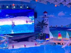 -海合安武汉极地海洋公园