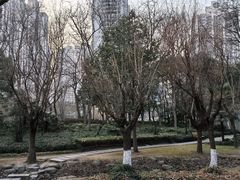 -苏州河梦清园环保主题公园