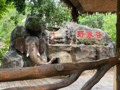 -野象谷景区