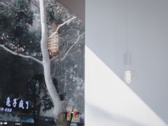 -常识咖啡common sense(春熙路店)