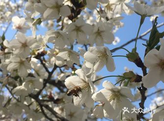 偃师最大的广场了,还有音乐喷泉,尽管现在看来有点小了