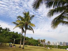 -福田红树林生态公园