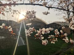 -中国天府农业博览园