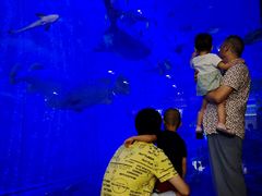 -成都浩海立方海洋公园