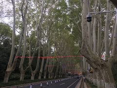 -紫金山山顶公园